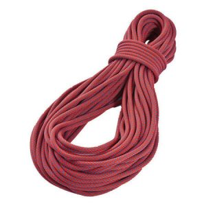 Tendon Hattrick 10,2mm ST